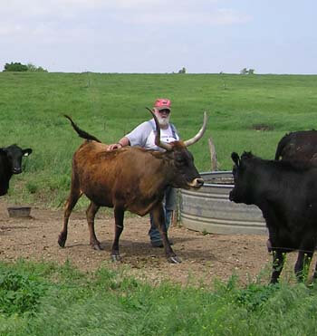 Cal Adams and livetock on ranch.