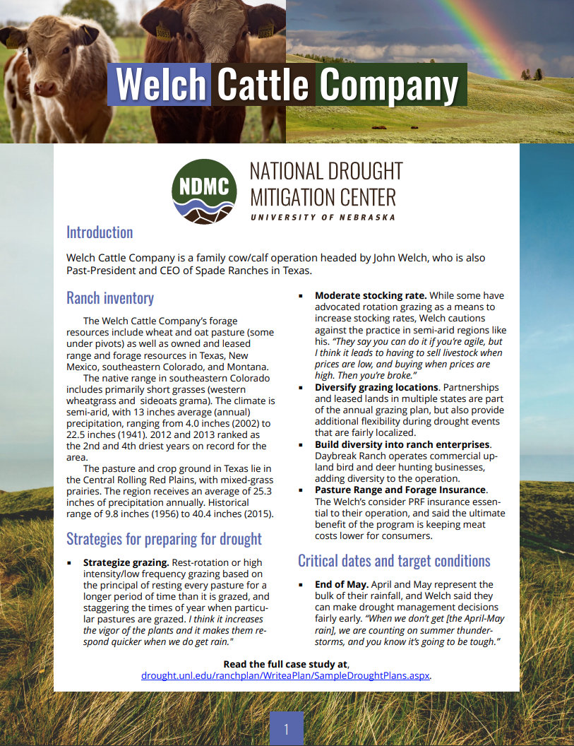 Welch Case Study screenshot